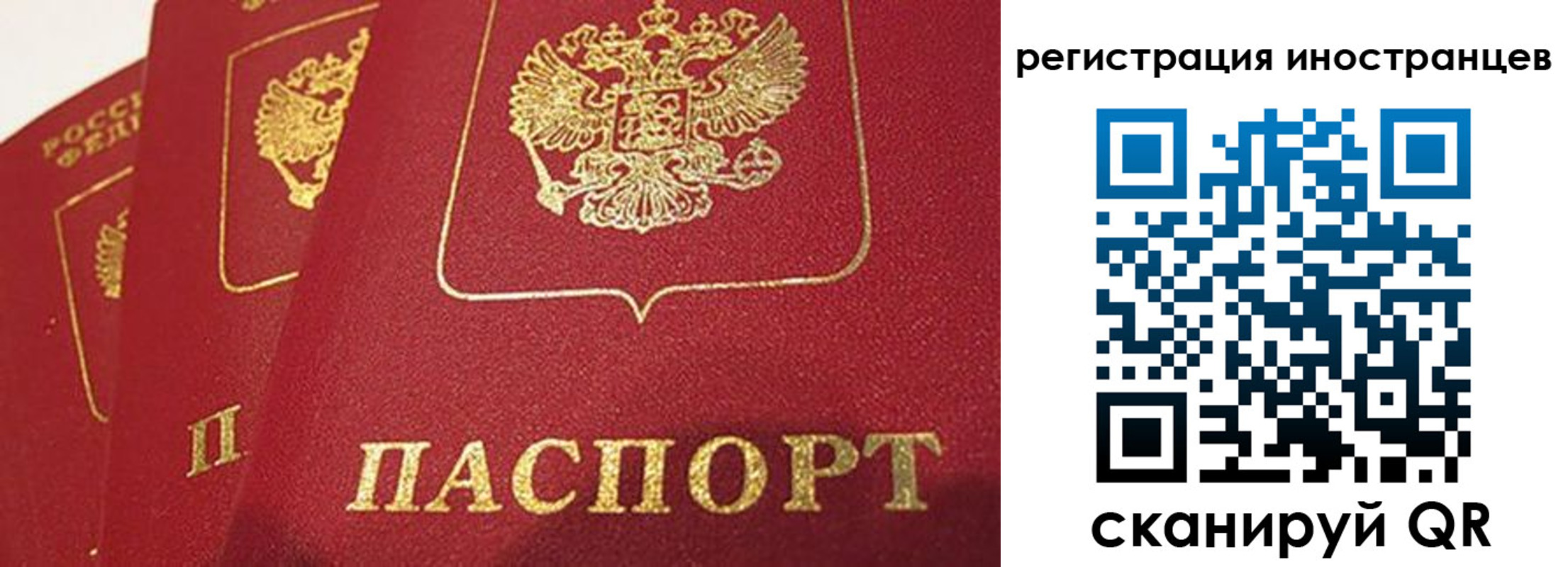 временная регистрация недорого в Архангельске